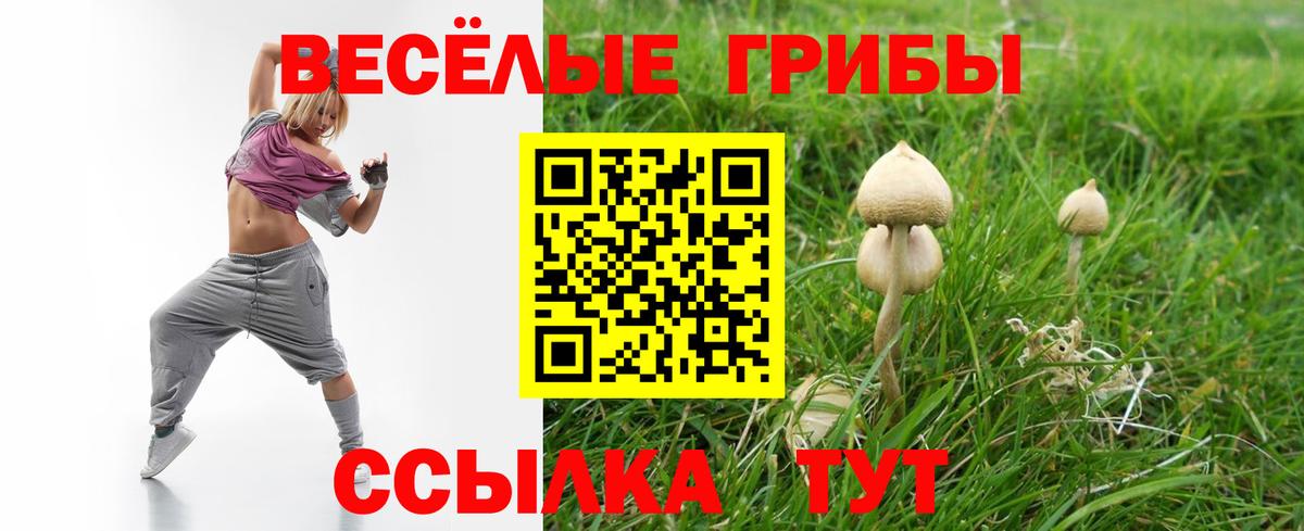 Галлюциногенные грибы GOLDEN TEACHER Бугуруслан